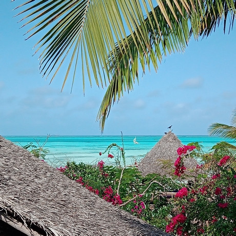 Logement avec vue sur le lagon bleu de la côte Est de Zanzibar